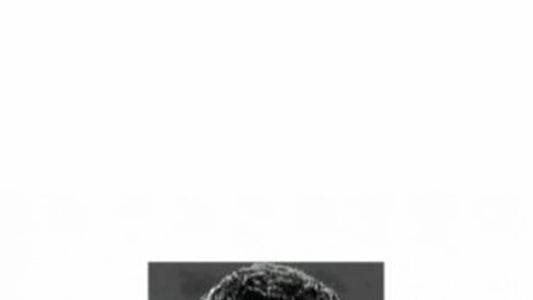 Profile of Nicholas Ray