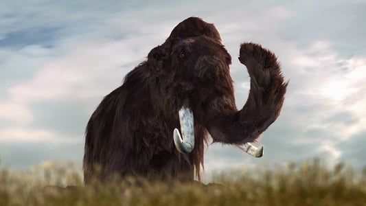 Mammuts - Herrscher der Eiszeit
