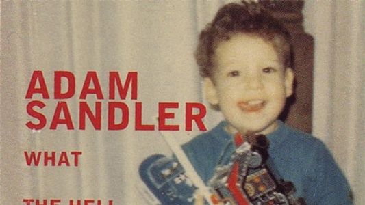 Adam Sandler: What the Hell Happened to Me?