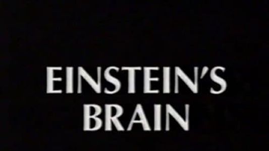 Relics: Einstein's Brain
