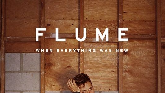 Flume: When Everything Was New
