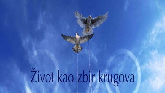Život kao zbir krugova - Saga o Sretenu Stefanoviću