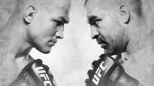 Image UFC Fight Night 133: dos Santos vs. Ivanov