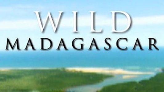 Image Wild Madagascar
