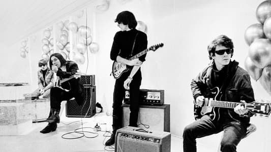 Image The Velvet Underground