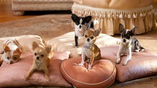 Image Beverly Hills Chihuahua 2