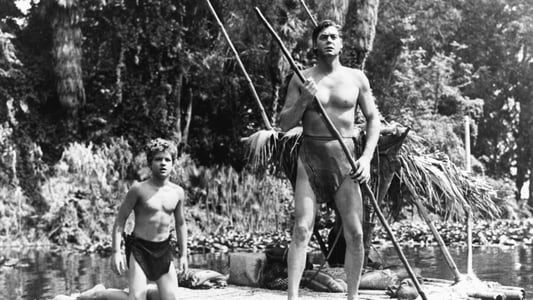 Image Tarzan and the Amazons
