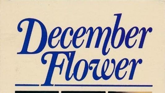 December Flower