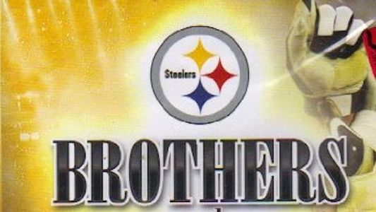 Brothers And Champions - The Pittsburgh Steelers 2008 Championship Season In Review