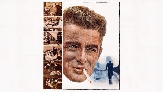 Image The James Dean Story