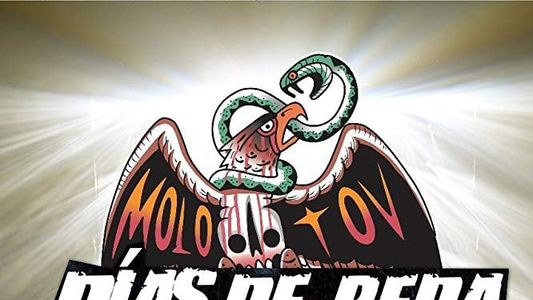 Molotov 20 años: Días de peda y de cruda