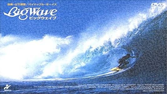 Image Big Wave