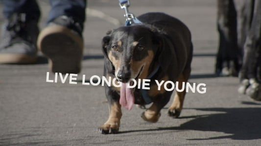 Image Live Long Die Young