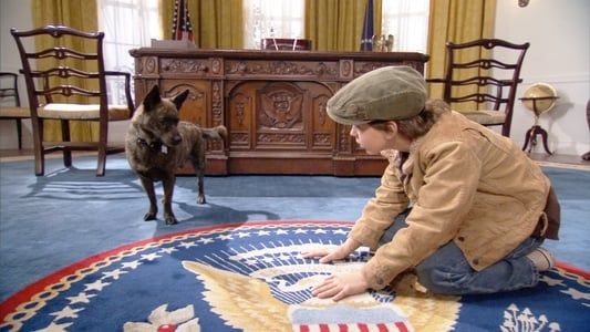 Image Un chien à la Maison Blanche