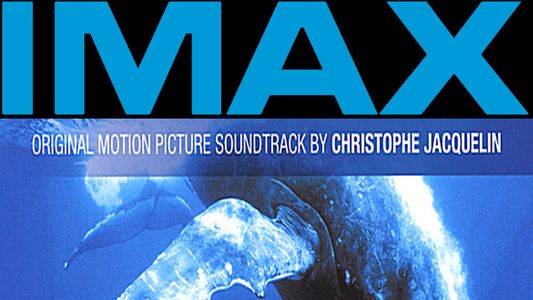 Image IMAX Dauphins et baleines : Nomades des mers