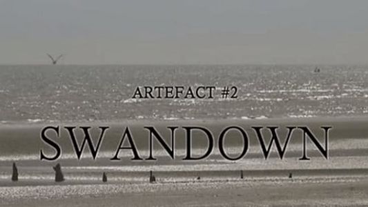 Artefact #2: Swandown – Culled from a Waterbound Journey from Hastings to Hackney