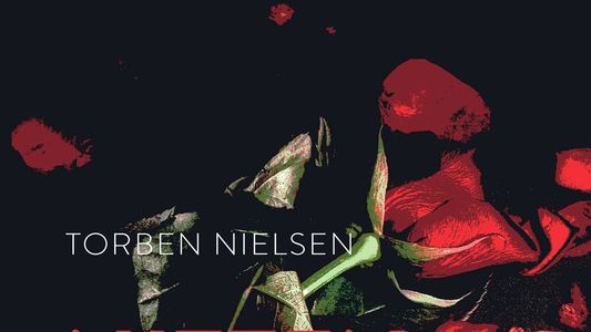 Image Nineteen Red Roses