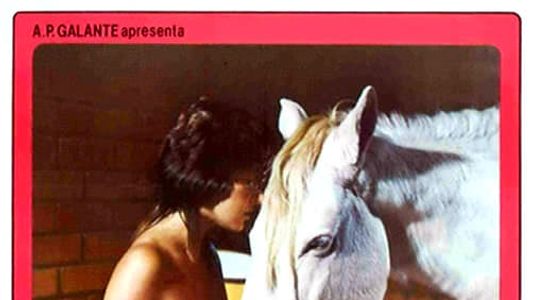 Image A Menina e o Cavalo
