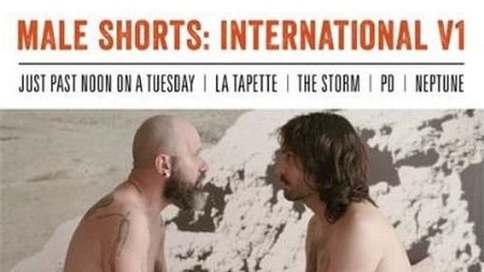 Male Shorts: International V1