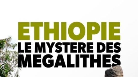 Éthiopie, le mystère des mégalithes