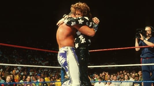 Image WWE WrestleMania VII