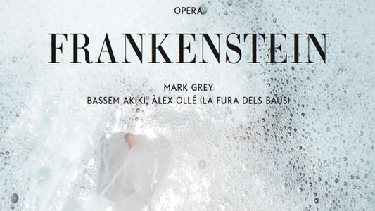Frankenstein - Grey