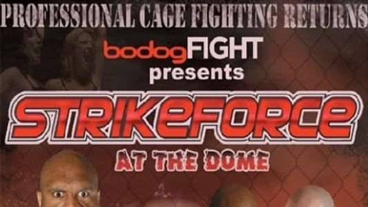 Image Strikeforce: At the Dome