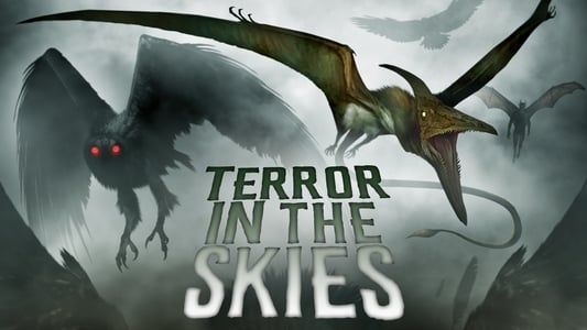 Image Terror in the Skies