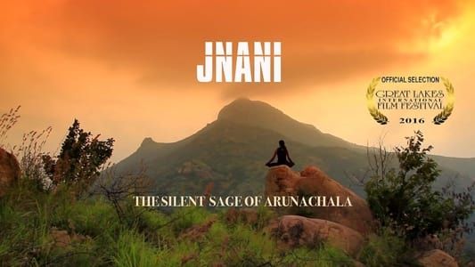 Image Jnani: The Silent Sage of Arunachala