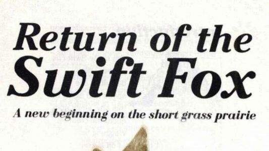 Image Return of the Swift Fox