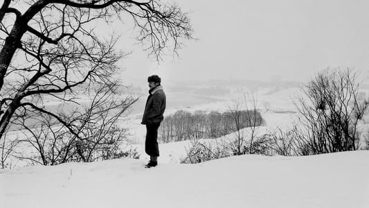 Image Andrey Tarkovsky. A Cinema Prayer