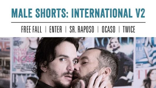 Male Shorts: International V2