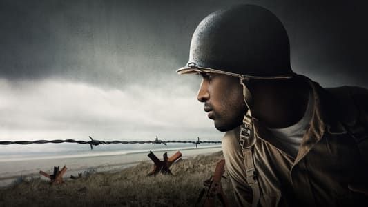 Image A Distant Shore: African Americans on D-Day