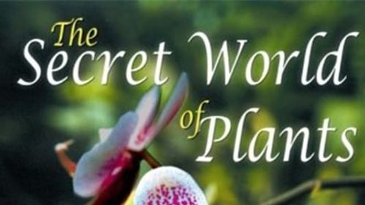 The Secret World of Plants 2003