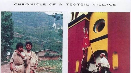 Image Chroniques d'un village tzotzil
