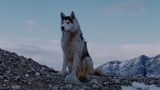 Image Nikki, Wild Dog of the North