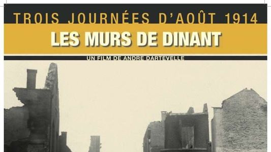 Image Trois journées d'août 1914, les murs de Dinant