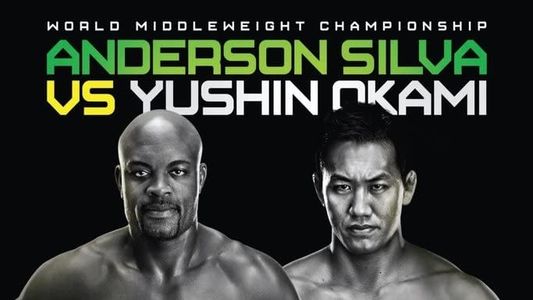 UFC 134: Silva vs. Okami
