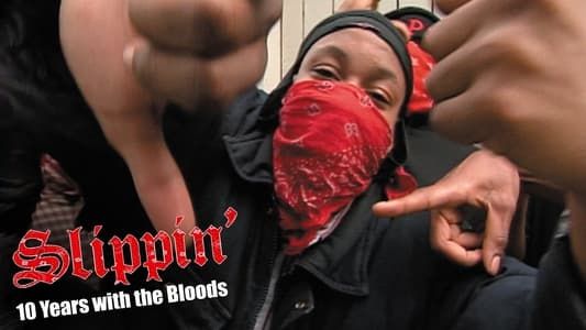 Image Slippin': Ten Years with the Bloods