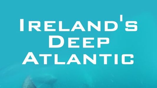 Image Au large de l'Irlande : baleines et requins en eaux profondes