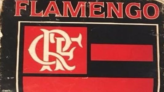 Flamengo: Um Século de Paixão