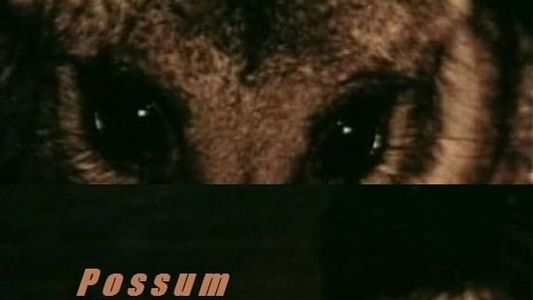 Image Possum