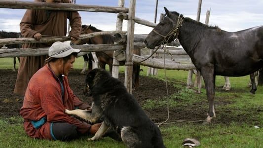 Image The Bounty Hunter of Mongolia