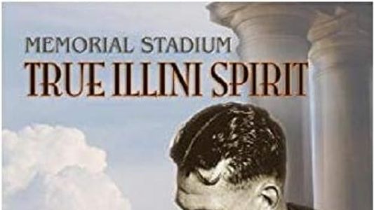 Image Memorial Stadium: True Illini Spirit