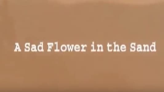 A Sad Flower in the Sand
