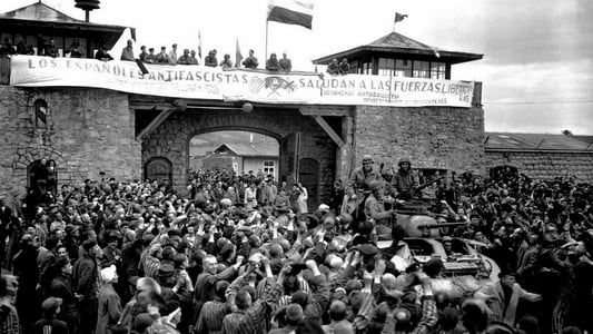 Image Los últimos españoles de Mauthausen