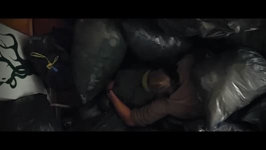 Cave of the Trash King