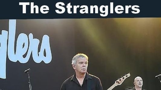The Stranglers au Festival Musilac