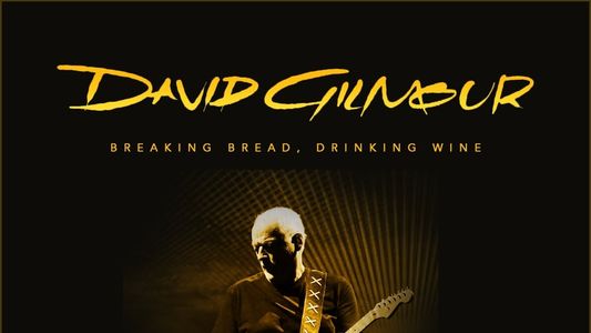 David Gilmour - Breaking Bread, Drinking Wine