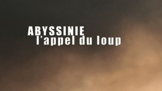 Abyssinie, L'appel Du Loup